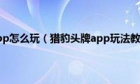 头牌app怎么玩（猎豹头牌app玩法教程）