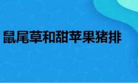 鼠尾草和甜苹果猪排