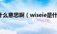 wise什么意思啊（wiseie是什么）