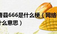 山东菏泽曹县666是什么梗（网络语山东菏泽曹县666什么意思）