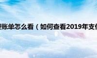 支付宝年度消费账单怎么看（如何查看2019年支付宝的年度消费账单）