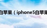 iphone5c白苹果（iphone5白苹果怎么办）