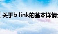 b(link（关于b link的基本详情介绍）)