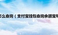 余额宝收益率怎么查询（支付宝钱包查询余额宝每日收益率方法图解）