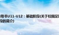 校园足球训练指导用书U11-U12：基础阶段(关于校园足球训练指导用书U11-U12：基础阶段的简介)