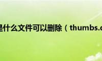 thumbs.db是什么文件可以删除（thumbs.db是什么文件）