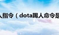 dota踢人指令（dota踢人命令是什么）