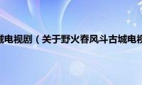 野火春风斗古城电视剧（关于野火春风斗古城电视剧的基本详情介绍）