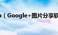 Picasa（Google+图片分享软件）