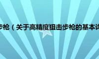 高精度狙击步枪（关于高精度狙击步枪的基本详情介绍）