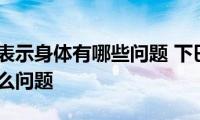 下巴长痘表示身体有哪些问题(下巴长痘表示身体有什么问题)