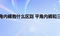 平角内裤和三角内裤有什么区别(平角内裤和三角内裤有哪些不同)