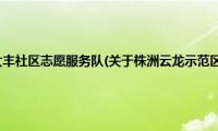 株洲云龙示范区大丰社区志愿服务队(关于株洲云龙示范区大丰社区志愿服务队的简介)