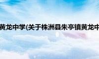 株洲县朱亭镇黄龙中学(关于株洲县朱亭镇黄龙中学的简介)