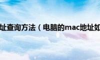 电脑mac地址查询方法（电脑的mac地址如何查询）