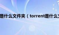 torrent是什么文件夹（torrent是什么文件）