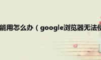 google浏览器不能用怎么办（google浏览器无法使用如何解决）