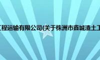 株洲市鑫城渣土工程运输有限公司(关于株洲市鑫城渣土工程运输有限公司的简介)