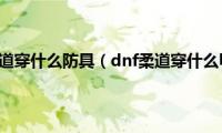 dnf柔道穿什么防具（dnf柔道穿什么甲）