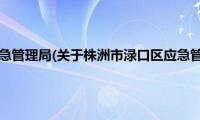 株洲市渌口区应急管理局(关于株洲市渌口区应急管理局的简介)