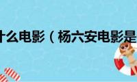 杨六安是什么电影（杨六安电影是天下第一镖局）