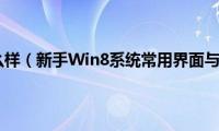 win8界面什么样（新手Win8系统常用界面与操作指南）