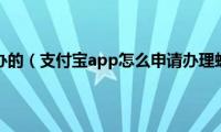 支付宝怎么办的（支付宝app怎么申请办理蚂蚁宝卡）