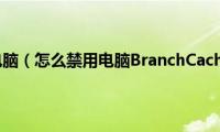 如何禁用电脑（怎么禁用电脑BranchCache服务）