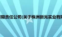 株洲新光实业有限责任公司(关于株洲新光实业有限责任公司的简介)