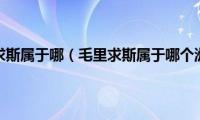 毛里求斯属于哪（毛里求斯属于哪个洲）