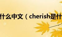 cherish是什么中文（cherish是什么意思）