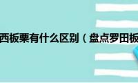 罗田板栗和迁西板栗有什么区别（盘点罗田板栗和迁西板栗的不同）