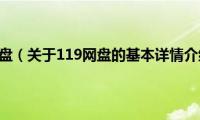 119网盘（关于119网盘的基本详情介绍）