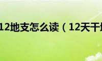 12天干12地支怎么读（12天干地支）