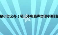 笔记本声音调满还是小怎么办（笔记本电脑声音很小调到最大也很小如何处理）