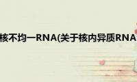 核内异质RNA(核不均一RNA(关于核内异质RNA 核不均一RNA的简介))