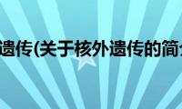 核外遗传(关于核外遗传的简介)