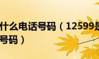 12599是什么电话号码（12599是中国移动语音信箱号码）