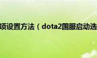 dota2国服启动项设置方法（dota2国服启动选项输入什么）