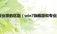 win7旗舰版和专业版的区别（win7旗舰版和专业版哪个流畅）