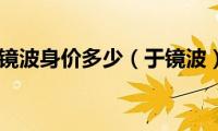 于镜波身价多少（于镜波）