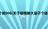 核桃楸大泉子个体006(关于核桃楸大泉子个体006的简介)