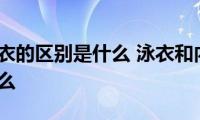 泳衣和内衣的区别是什么(泳衣和内衣的区别分别是什么)