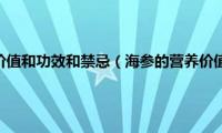 海参的营养价值和功效和禁忌（海参的营养价值和功效）