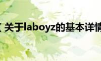 laboyz（关于laboyz的基本详情介绍）