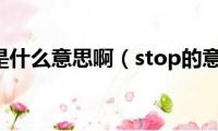 stop是什么意思啊（stop的意思）