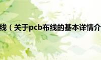 pcb布线（关于pcb布线的基本详情介绍）