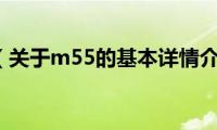 m55（关于m55的基本详情介绍）