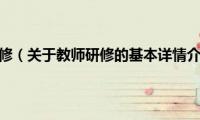 教师研修（关于教师研修的基本详情介绍）