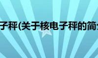 核电子秤(关于核电子秤的简介)